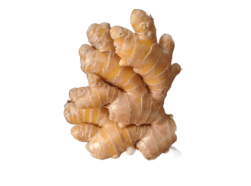 Jengibre